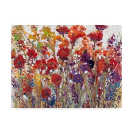Tim Otoole 'Variety Of Flowers I' Canvas Art,18x24